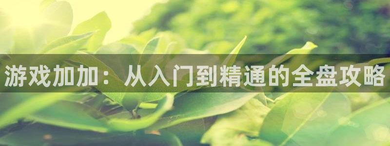 沐鸣娱乐合法吗
