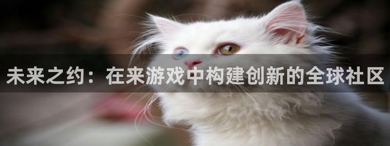 沐鸣在线登录官网：未来之约：在来游戏中构建创新的全球社区