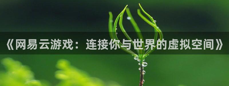 沐鸣注册网站：《网易云游戏：连接你与世界的虚拟空间》