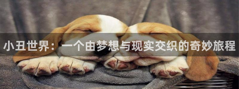 沐鸣怎么注册：小丑世界：一个由梦想与现实交织的奇妙旅程