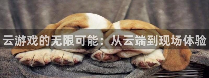 沐鸣注册官方登录app：云游戏的无限可能：从云端到现场体验