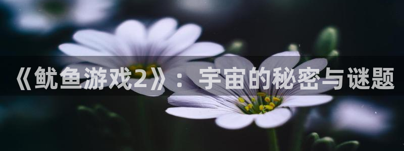 沐鸣网址官网首页