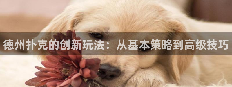 沐鸣注册账号是什么