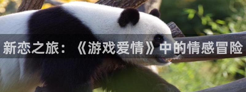 沐鸣app下载地址