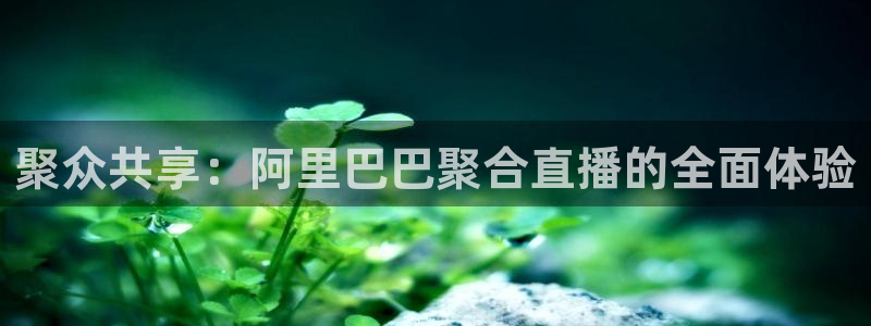 绿茵体育直播lyzb：聚众共享：阿里巴巴聚合直播的全面体验