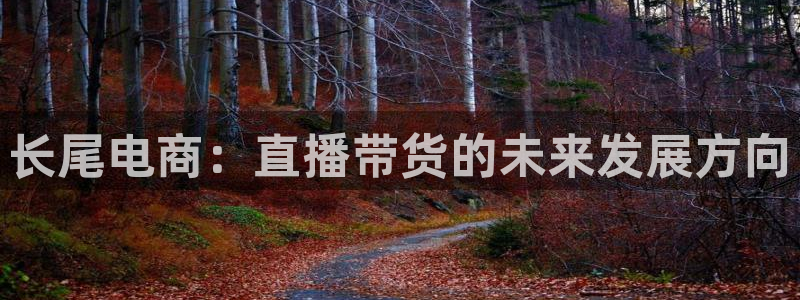 绿茵体育app官网入口：长尾电商：直播带货的未来发展方向