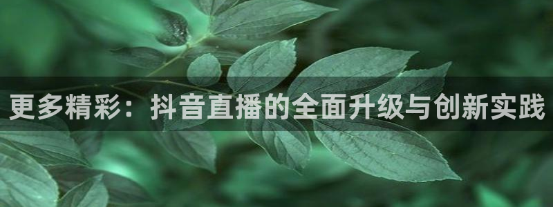 绿茵nba直播：更多精彩：抖音直播的全面升级与创新实践