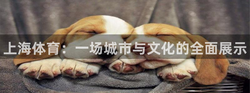 足球直播绿茵体育：上海体育：一场城市与文化的全面展示