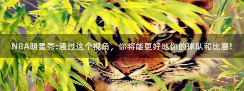 绿茵足球直播：NBA明星秀:通过这个视角，你将能更好地你的球队和比赛!