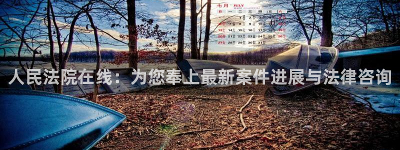绿茵直播球赛在线观看：人民法院在线：为您奉上最新案件进展与法律咨询