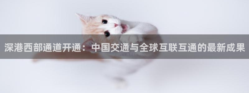 绿茵足球直播晚晚：深港西部通道开通：中国交通与全球互联互通的最新成果