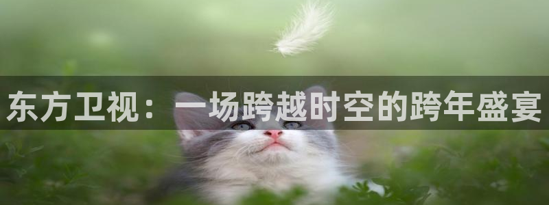 绿茵直播体育免费直播：东方卫视：一场跨越时空的跨年盛宴