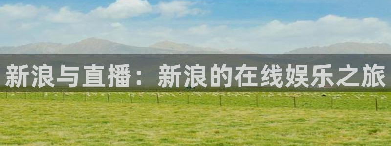绿茵体育在线直播：新浪与直播：新浪的在线娱乐之旅